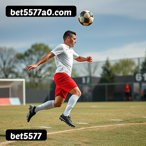 bet5577 APP mobile iOS Android - 187 mil downloads São Paulo Rio BH